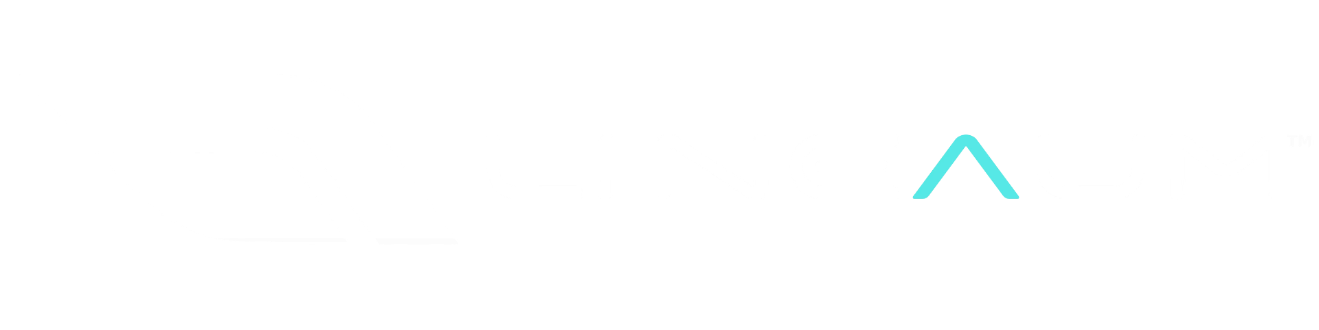 Lineaum company logo